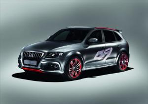 2009 Audi Q5 Custom Concept